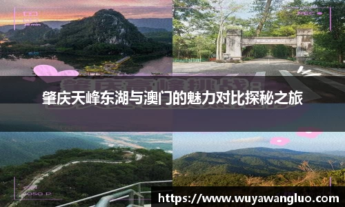 优游国际官方